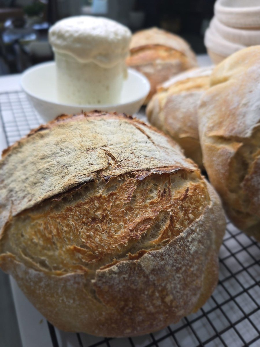 Sourdough: Why Going Back to the Roots of Bread is Making a Comeback