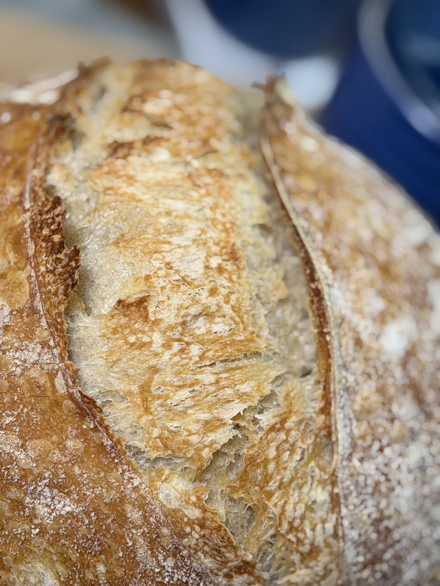 Sourdough Demystified: Why You Shouldn't Be Afraid to Start Baking Today